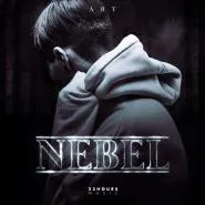 Art-Nebel