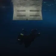 Billie Eilish-BIRDS OF A FEATHER