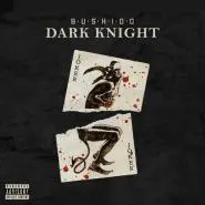 Bushido-Dark Knight