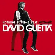 David Guetta & Akon & Ne-Yo-Play Hard