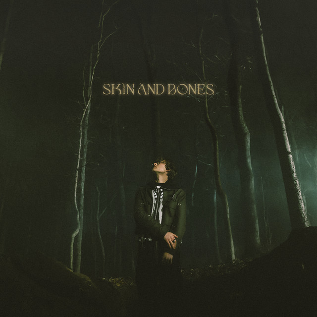 David Kushner – Skin and Bones