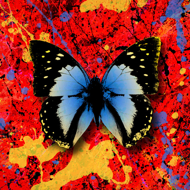 Ed Sheeran feat. Antytila – 2step