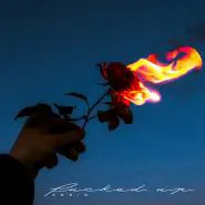 Eddin-Fucked up