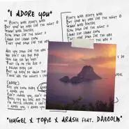 HUGEL & Topic & Arash & Daecolm-I Adore You