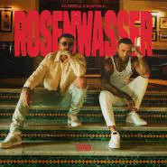 KC Rebell & Kontra K-Rosenwasser