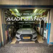 Kolja Goldstein-Audi Bande