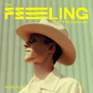 Lost Frequencies-The Feeling