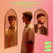Lost Frequencies & Calum Scott-Where Are You Now
