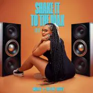 MOLIY & Creep Chromatic & Skillibeng & Shenseea-Shake It To The Max (FLY) [Remix]