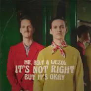 Mr. Belt & Wezol-It's Not Right (But It's Ok)