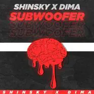 SHINSKY x DIMA-Subwoofer