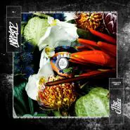 The Cratez, Bausa & Maxwell feat. Joshi Mizu-Skifahren