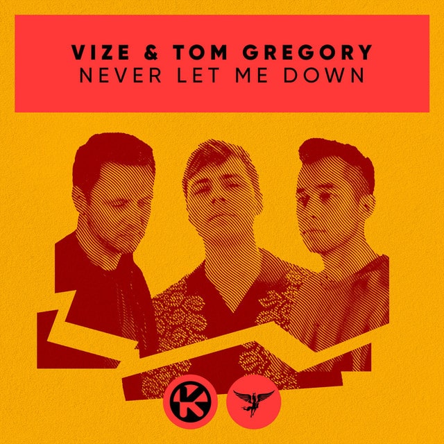 VIZE & Tom Gregory – Never Let Me Down