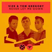 VIZE & Tom Gregory-Never Let Me Down