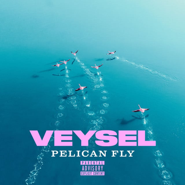 Veysel & Miksu / Macloud – PELICAN FLY