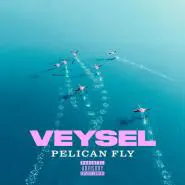 Veysel & Miksu / Macloud-PELICAN FLY