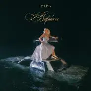 AYLIVA-Beifahrer