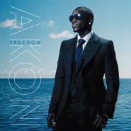 Akon-We Don't Care