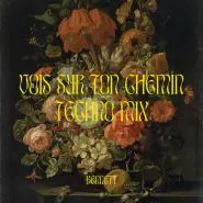 BENNETT-Vois sur ton chemin - Techno Mix