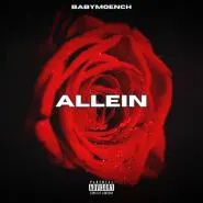 Babymoench-Allein
