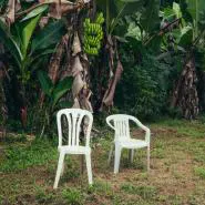 Bad Bunny-NUEVAYoL
