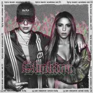 Bizarrap & Shakira-Shakira: Bzrp Music Sessions, Vol. 53