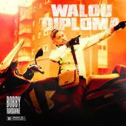 Bobby Vandamme-Walou Diploma