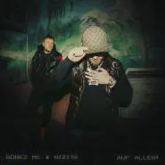 Bonez MC & Nizi19-auf alles!