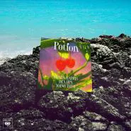 Calvin Harris, Dua Lipa & Young Thug-Potion