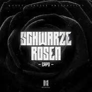 Capo-Schwarze Rosen