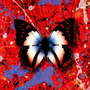 Ed Sheeran-2step