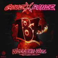 Gzuz & Bonez MC-Wenn ich will