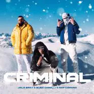 Jala Brat feat. Buba Corelli & RAF Camora-Criminal