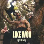 Kontra K-Like Woo