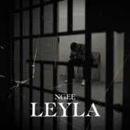 NGEE-LEYLA