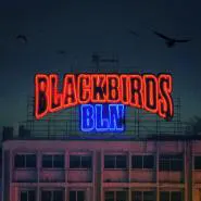 Peter Fox & Bensh-Blackbirds BLN