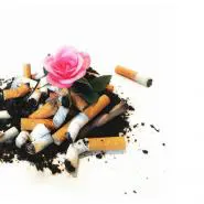 T-low & Miksu / Macloud-We Made It