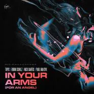 Topic & Robin Schulz & Nico Santos & Paul van Dyk-In Your Arms (For An Angel)