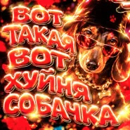 BRAZILIAN MASTER-ВОТ ТАКАЯ ВОТ ХУЙНЯ СОБАЧКА