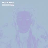 Chrystal & NOTION-The Days - NOTION Extended Remix