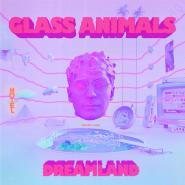 Glass Animals-Heat Waves