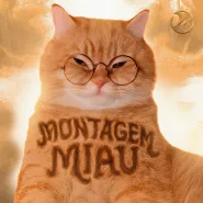 Lenar & Leonardo P-Montagem Miau (Slowed)