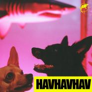 Lvbel C5-HAVHAVHAV
