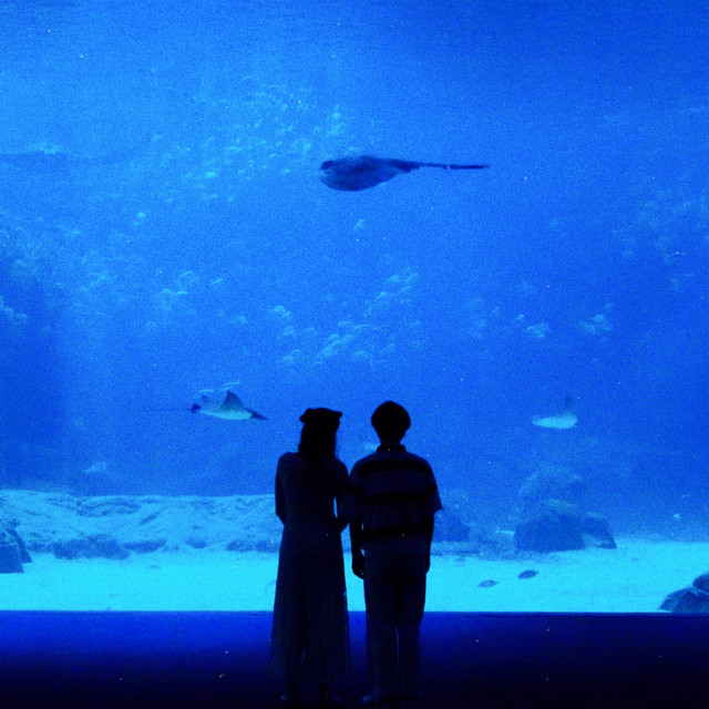 TIKTOK | Mattyeux & Princess Chelsea & Videoclub – Sometimes (© Independent) Mattyeux & Princess Chelsea & Videoclub – Sometimes