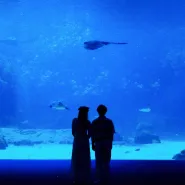 Mattyeux & Princess Chelsea & Videoclub-Sometimes