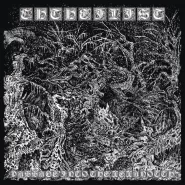 Relish Edward-Evening Breeze