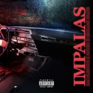 Tommy Bricks-Stinky Bus