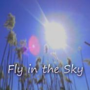 Vladivan-Fly in the Sky