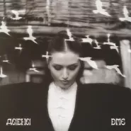 даена-DMG