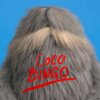 Polydor Cover